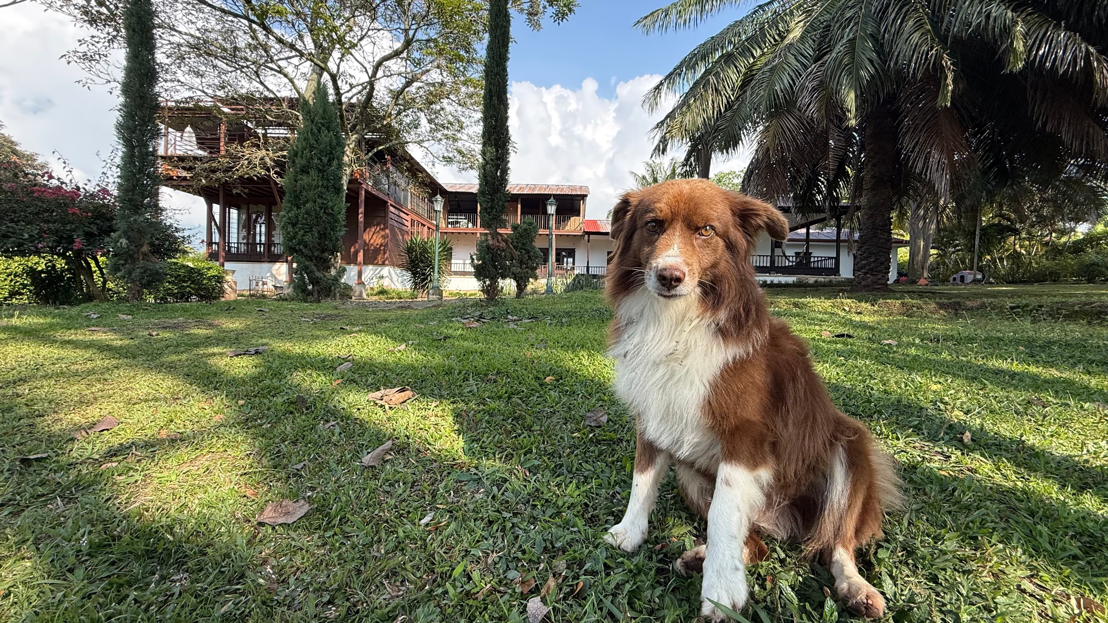Fondo de Hacienda La Herrería